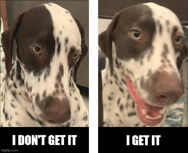 Dog doesn't get it at first |  I DON'T GET IT; I GET IT | image tagged in clueless,dumb,oblivious,slow,dog,before and after | made w/ Imgflip meme maker