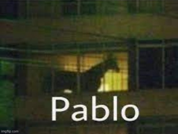 pablo the horse template https://imgflip.com/memetemplate/389615227/pablo-the-horse | image tagged in pablo the horse | made w/ Imgflip meme maker