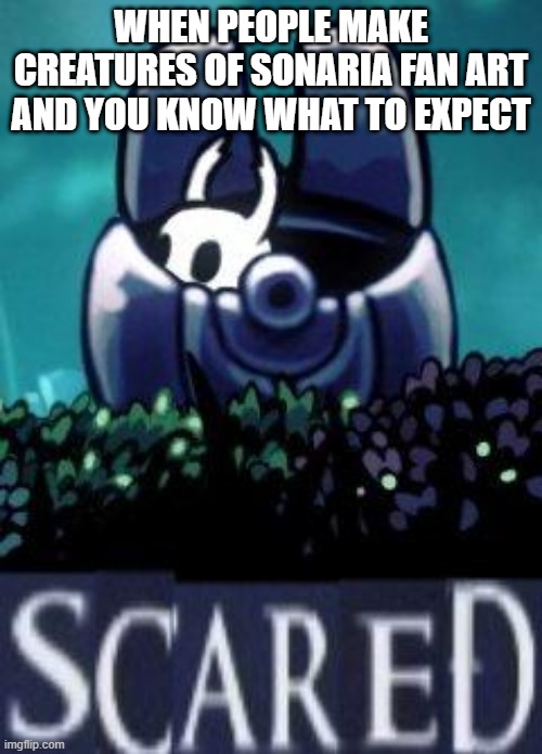 Hollow knight scared | WHEN PEOPLE MAKE CREATURES OF SONARIA FAN ART AND YOU KNOW WHAT TO EXPECT | image tagged in hollow knight scared | made w/ Imgflip meme maker