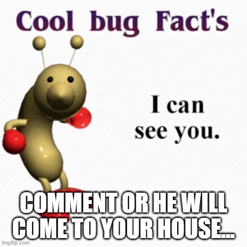 uh oh | COMMENT OR HE WILL COME TO YOUR HOUSE... | image tagged in cool bug facts | made w/ Imgflip meme maker