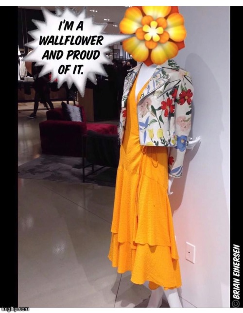 Wallflower | image tagged in fashion,alice and olivia,saks fifth avenue,wallflower,brian einersen | made w/ Imgflip meme maker