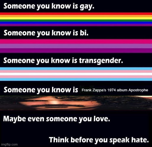 someone you know | image tagged in frank zappa | made w/ Imgflip meme maker