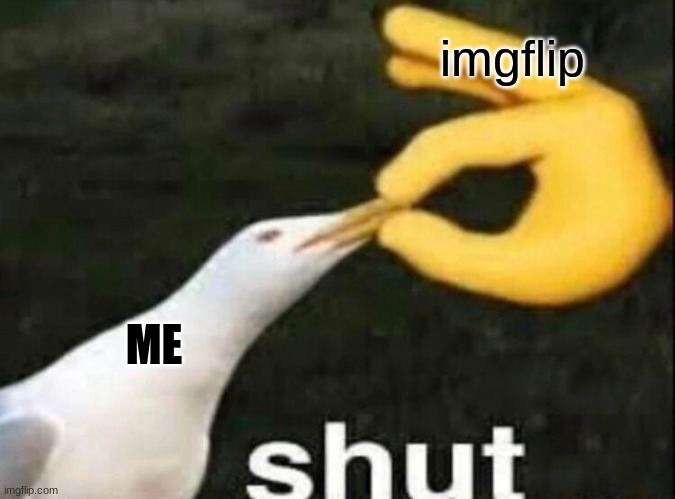 I got Muted for 8 hours can't talk |  imgflip; ME | image tagged in shut,memes,help me,pls,funny memes | made w/ Imgflip meme maker