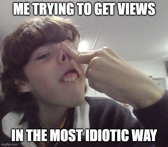 trying to get views | ME TRYING TO GET VIEWS; IN THE MOST IDIOTIC WAY | image tagged in idiot | made w/ Imgflip meme maker