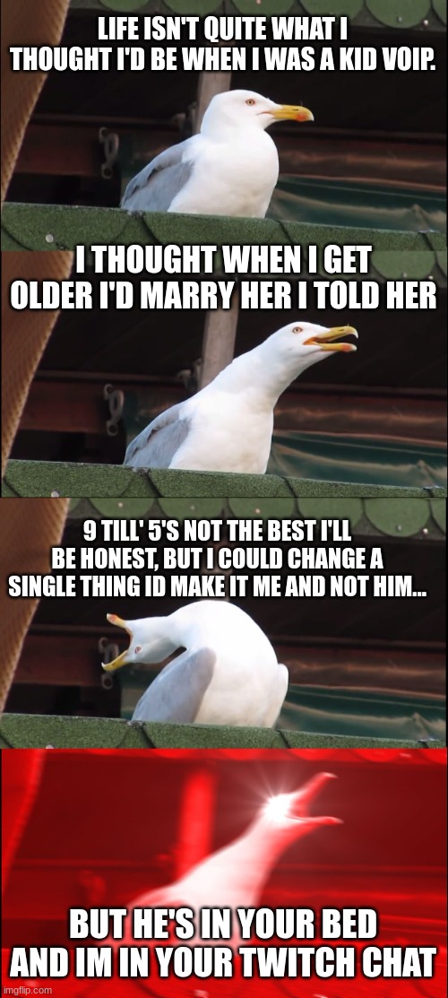 wilber soot | LIFE ISN'T QUITE WHAT I THOUGHT I'D BE WHEN I WAS A KID VOIP. I THOUGHT WHEN I GET OLDER I'D MARRY HER I TOLD HER; 9 TILL' 5'S NOT THE BEST I'LL BE HONEST, BUT I COULD CHANGE A SINGLE THING ID MAKE IT ME AND NOT HIM... BUT HE'S IN YOUR BED AND IM IN YOUR TWITCH CHAT | image tagged in memes,inhaling seagull | made w/ Imgflip meme maker