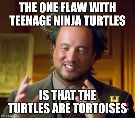 Ancient Aliens |  THE ONE FLAW WITH TEENAGE NINJA TURTLES; IS THAT THE TURTLES ARE TORTOISES | image tagged in memes,ancient aliens | made w/ Imgflip meme maker