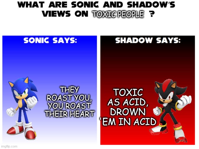 DAMNNN | TOXIC PEOPLE; TOXIC AS ACID, DROWN 'EM IN ACID; THEY ROAST YOU, YOU ROAST THEIR HEART | image tagged in sonic says,mario bros views | made w/ Imgflip meme maker