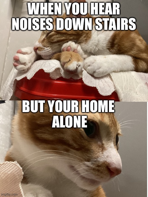 Uh oh | WHEN YOU HEAR NOISES DOWN STAIRS; BUT YOUR HOME 
ALONE | image tagged in funny | made w/ Imgflip meme maker