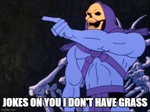 Skeletor | JOKES ON YOU I DON'T HAVE GRASS | image tagged in skeletor | made w/ Imgflip meme maker