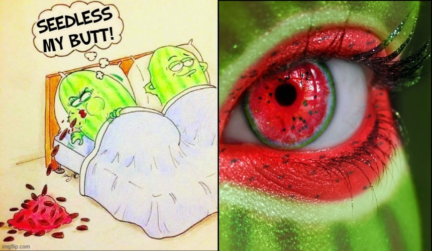 "Relief is Just a Swallow Away." —Speedy Alka-Seltzer | SEEDLESS
MY BUTT! | image tagged in vince vance,alka seltzer,watermelons,in bed,memes,seedless | made w/ Imgflip meme maker