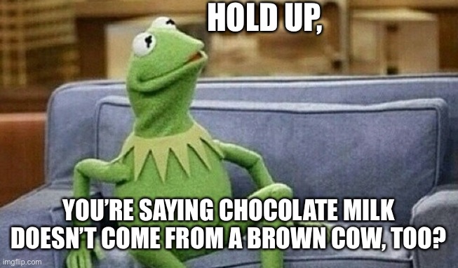 Kermit on Couch | HOLD UP, YOU’RE SAYING CHOCOLATE MILK DOESN’T COME FROM A BROWN COW, TOO? | image tagged in kermit on couch | made w/ Imgflip meme maker