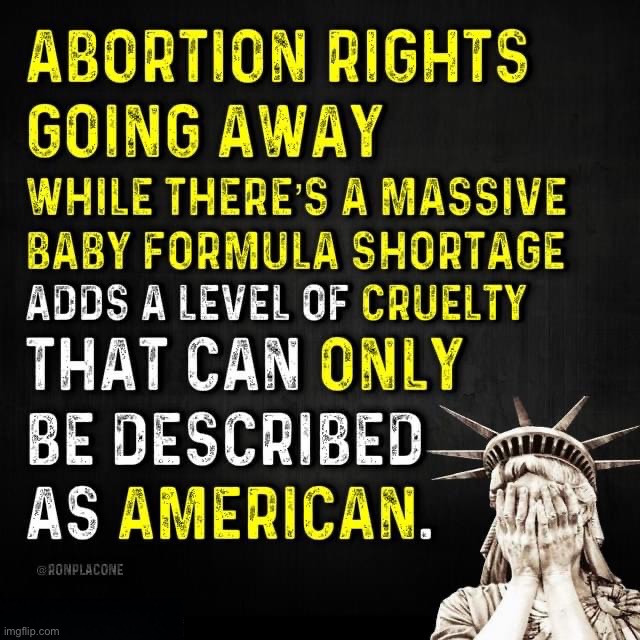 Lady Liberty wept this week. | image tagged in abortion,rights,women rights,baby formula,american | made w/ Imgflip meme maker