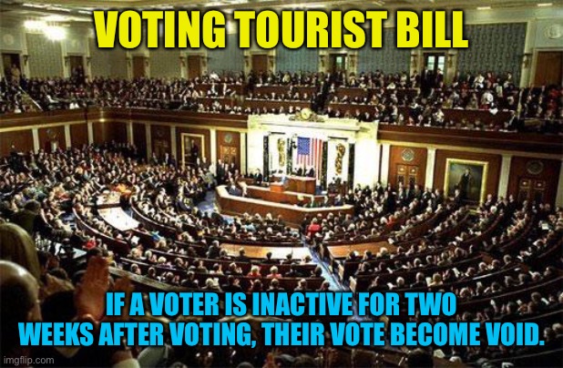 In the air | VOTING TOURIST BILL; IF A VOTER IS INACTIVE FOR TWO WEEKS AFTER VOTING, THEIR VOTE BECOME VOID. | image tagged in congress | made w/ Imgflip meme maker