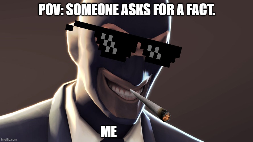 Nobody asks for your opinion. | POV: SOMEONE ASKS FOR A FACT. ME | image tagged in tf2 spy face,who asked,reaction,facts,unpopular opinion,nobody cares | made w/ Imgflip meme maker