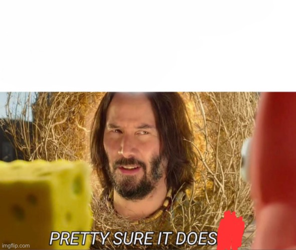 im pretty sure it doesnt | image tagged in im pretty sure it doesnt | made w/ Imgflip meme maker