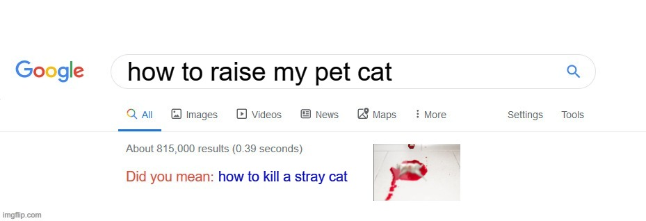 Did you mean? | how to raise my pet cat; how to kill a stray cat | image tagged in did you mean | made w/ Imgflip meme maker