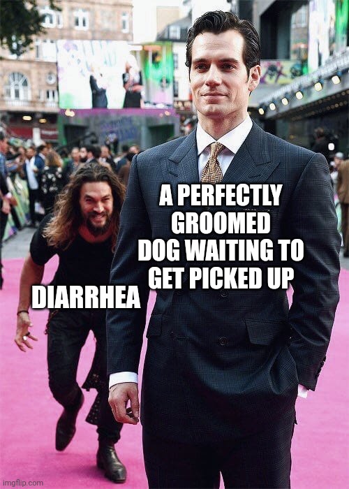Diarrhea | A PERFECTLY GROOMED DOG WAITING TO GET PICKED UP; DIARRHEA | image tagged in aquaman sneaking up on superman | made w/ Imgflip meme maker