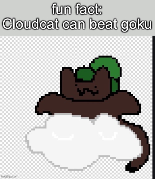 fun fact: Cloudcat can beat goku | made w/ Imgflip meme maker