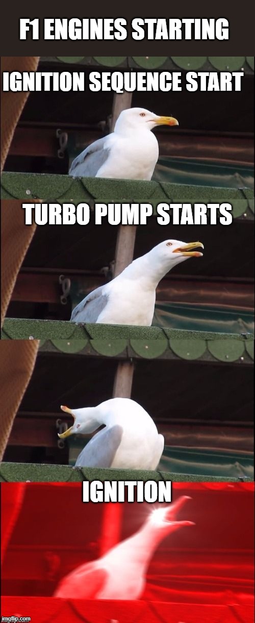 The Saturn V | F1 ENGINES STARTING; IGNITION SEQUENCE START; TURBO PUMP STARTS; IGNITION | image tagged in segull scream | made w/ Imgflip meme maker