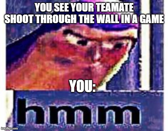 hmmmmmmmm | YOU SEE YOUR TEAMATE SHOOT THROUGH THE WALL IN A GAME; YOU: | image tagged in hmmm | made w/ Imgflip meme maker