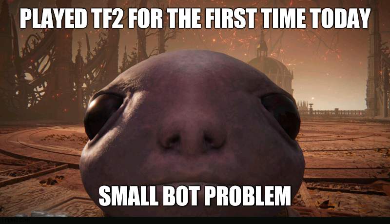 very tiny. only the entire server | PLAYED TF2 FOR THE FIRST TIME TODAY; SMALL BOT PROBLEM | image tagged in staring albinauric | made w/ Imgflip meme maker