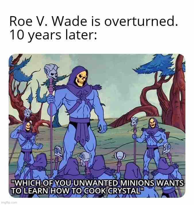 Roe v. Wade overturned | image tagged in roe v wade overturned | made w/ Imgflip meme maker