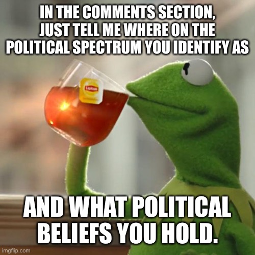 That’s all | IN THE COMMENTS SECTION, JUST TELL ME WHERE ON THE POLITICAL SPECTRUM YOU IDENTIFY AS; AND WHAT POLITICAL BELIEFS YOU HOLD. | image tagged in but that's none of my business,politics,beliefs,left,right,spectrum | made w/ Imgflip meme maker
