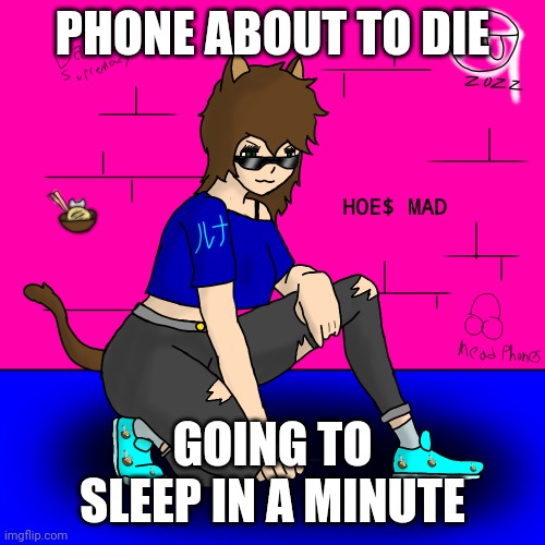 Luna Hoes Mad | PHONE ABOUT TO DIE; GOING TO SLEEP IN A MINUTE | image tagged in luna hoes mad | made w/ Imgflip meme maker
