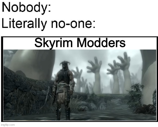 Skyrim modders | Skyrim Modders | image tagged in skyrim meme,skyrim,nobody absolutely no one,nobody | made w/ Imgflip meme maker