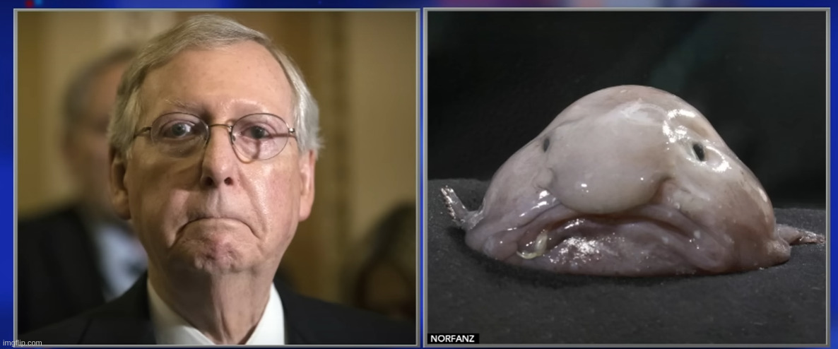 image tagged in mitch mcconnell | made w/ Imgflip meme maker