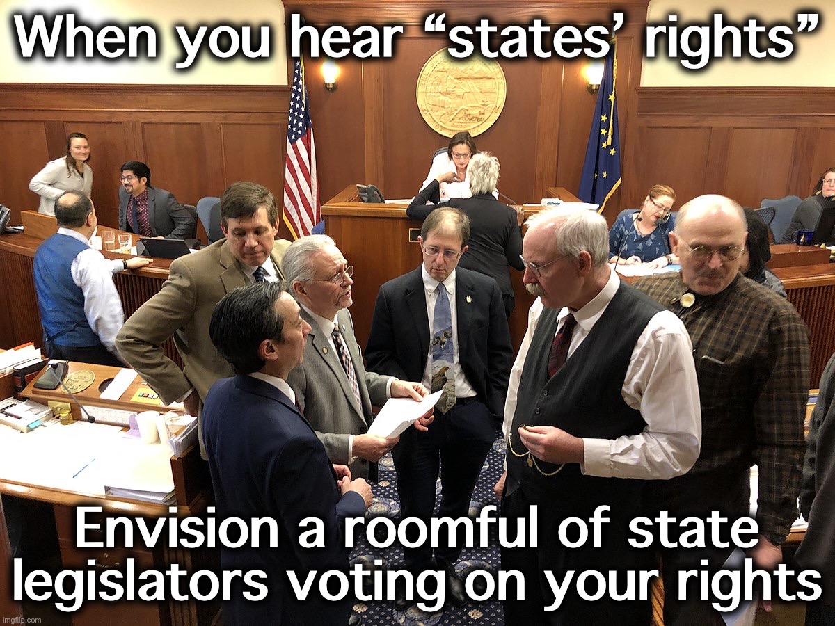 Republicans want to entrust out most intimate and personal freedoms to a bunch of glorified schoolboard members. What could poss | When you hear “states’ rights”; Envision a roomful of state legislators voting on your rights | image tagged in alaska state legislature | made w/ Imgflip meme maker