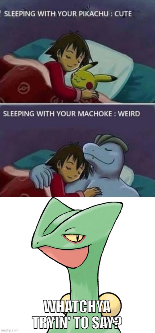 Looks cute either way. |  WHATCHYA TRYIN' TO SAY? | image tagged in sceptile,machoke,pikachu,memes,pokemon,comics/cartoons | made w/ Imgflip meme maker