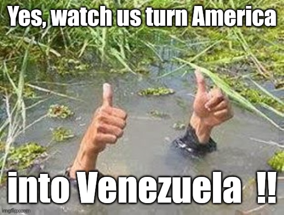 This is fine. No problem. | Yes, watch us turn America into Venezuela  !! | image tagged in this is fine no problem | made w/ Imgflip meme maker