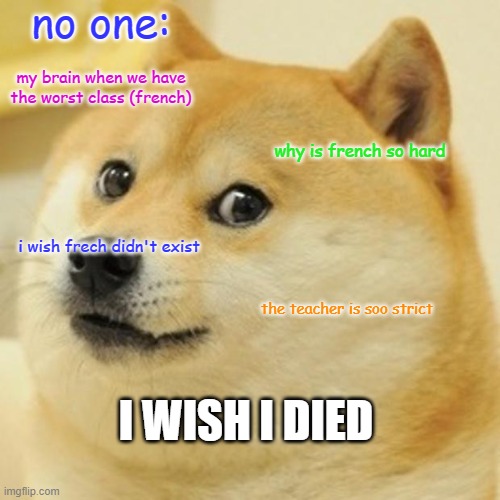 Doge | no one:; my brain when we have the worst class (french); why is french so hard; i wish frech didn't exist; the teacher is soo strict; I WISH I DIED | image tagged in memes,doge | made w/ Imgflip meme maker