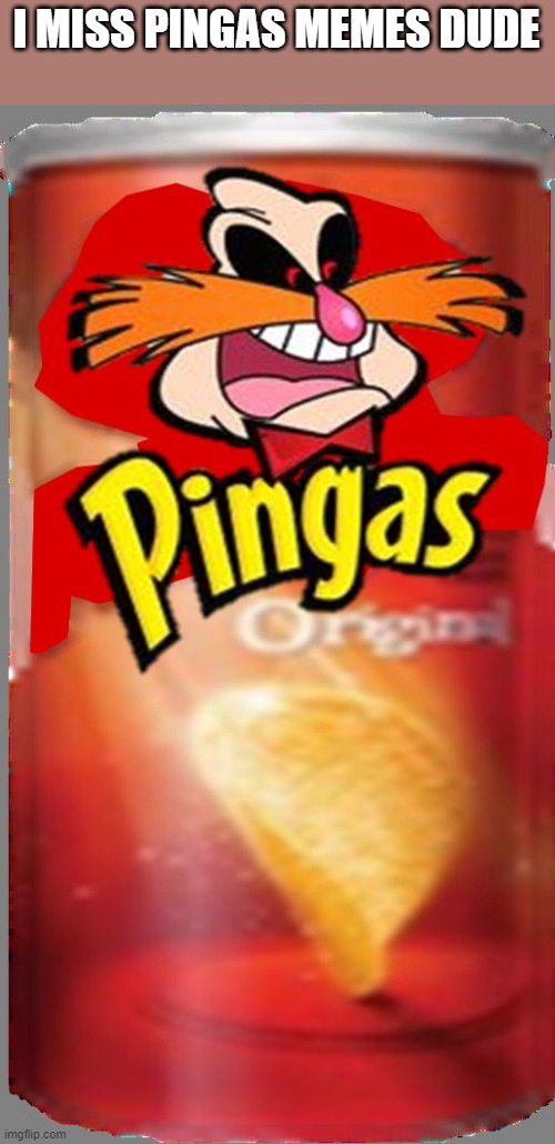 Pingas Chips | I MISS PINGAS MEMES DUDE | image tagged in pingas chips | made w/ Imgflip meme maker