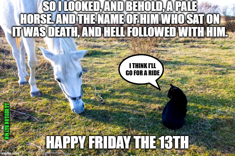 Friday ride. | SO I LOOKED, AND BEHOLD, A PALE HORSE. AND THE NAME OF HIM WHO SAT ON IT WAS DEATH, AND HELL FOLLOWED WITH HIM. I THINK I'LL GO FOR A RIDE; HAPPY FRIDAY THE 13TH; AARDVARK RATNIK | image tagged in black cat,holy bible,funny memes,superstition,friday the 13th | made w/ Imgflip meme maker