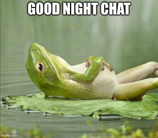FROG GOOD NIGHT | GOOD NIGHT CHAT | image tagged in frog good night | made w/ Imgflip meme maker