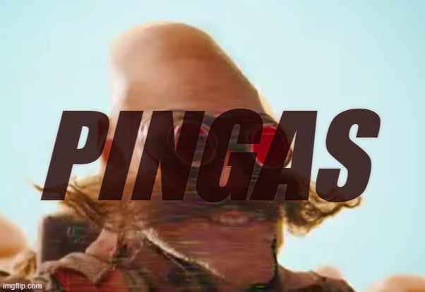Pingas 2019 | PINGAS | image tagged in pingas 2019 | made w/ Imgflip meme maker