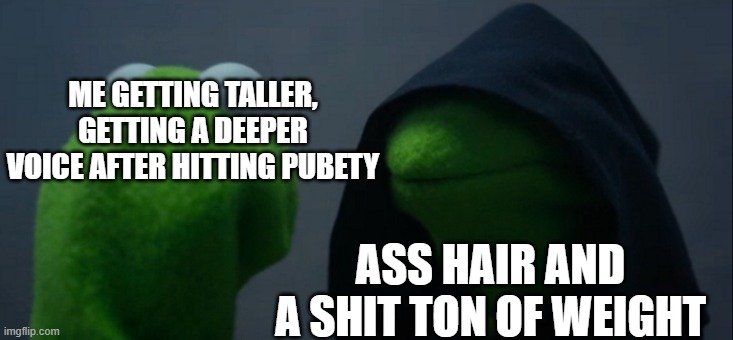 I aint wrong | ME GETTING TALLER, GETTING A DEEPER VOICE AFTER HITTING PUBETY; ASS HAIR AND A SHIT TON OF WEIGHT | image tagged in memes,evil kermit | made w/ Imgflip meme maker