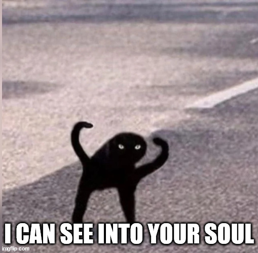 Scary Cat | I CAN SEE INTO YOUR SOUL | image tagged in scary cat | made w/ Imgflip meme maker