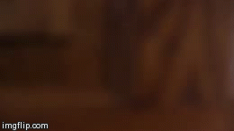 Hewwo! | image tagged in gifs | made w/ Imgflip video-to-gif maker