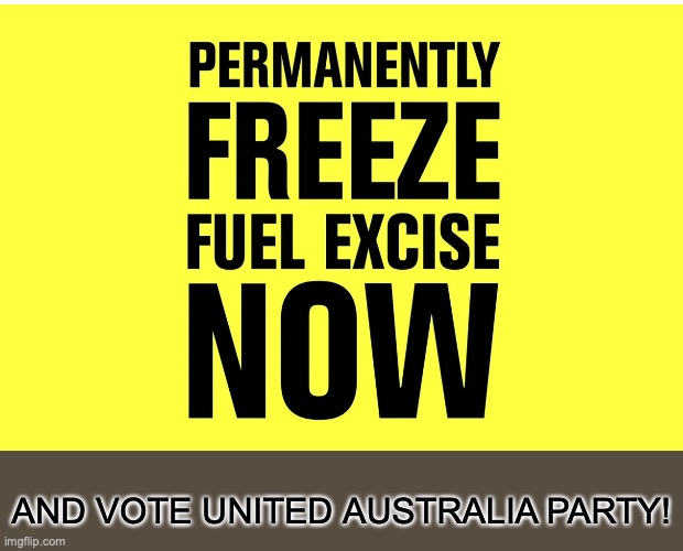 AND VOTE UNITED AUSTRALIA PARTY! | image tagged in memes,woman yelling at cat | made w/ Imgflip meme maker