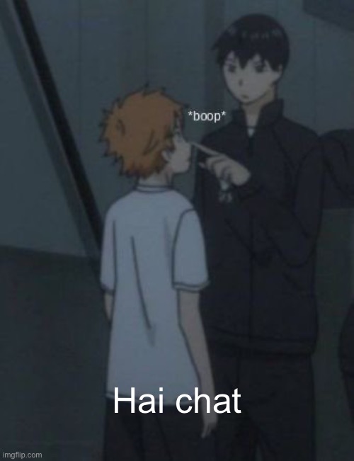 Boop | Hai chat | image tagged in boop | made w/ Imgflip meme maker