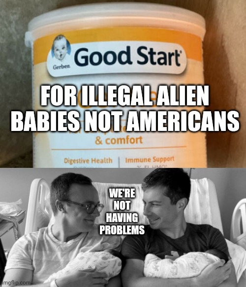 FOR ILLEGAL ALIEN BABIES NOT AMERICANS; WE'RE NOT HAVING PROBLEMS | made w/ Imgflip meme maker