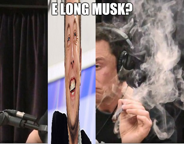 Elon Musk smoking a joint | E LONG MUSK? | image tagged in elon musk smoking a joint | made w/ Imgflip meme maker