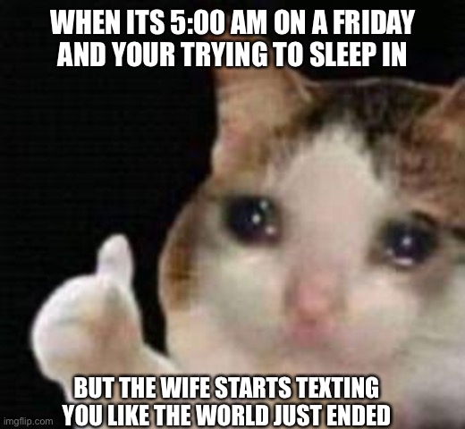 Approved crying cat | WHEN ITS 5:00 AM ON A FRIDAY AND YOUR TRYING TO SLEEP IN; BUT THE WIFE STARTS TEXTING YOU LIKE THE WORLD JUST ENDED | image tagged in approved crying cat | made w/ Imgflip meme maker