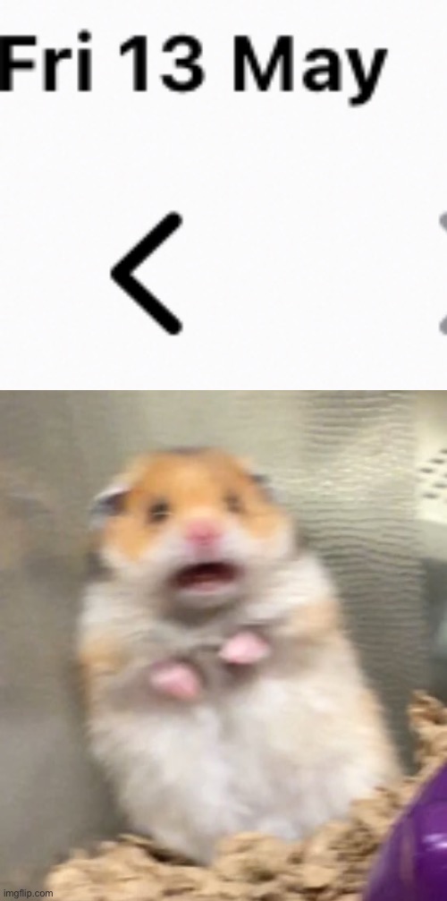 …. | image tagged in scared hamster | made w/ Imgflip meme maker