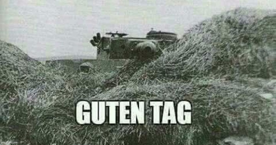 image tagged in german guten tag tiger | made w/ Imgflip meme maker