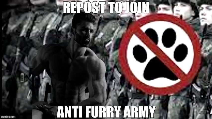 no furry | image tagged in anti furry | made w/ Imgflip meme maker