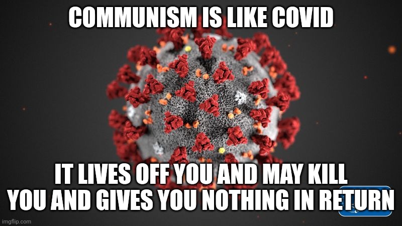 The parasites who cannot be successful in capitalism need a system that doesn't reward for competance. | COMMUNISM IS LIKE COVID; IT LIVES OFF YOU AND MAY KILL YOU AND GIVES YOU NOTHING IN RETURN | image tagged in covid 19,communism | made w/ Imgflip meme maker